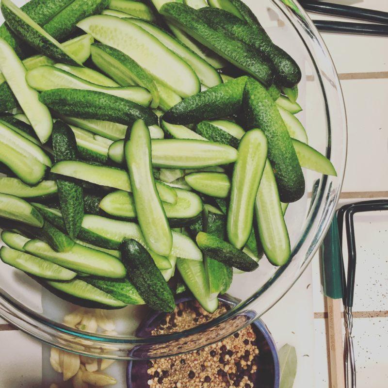 Pastures of Plenty Organic Farm CSA, Catering & Events Boulder County